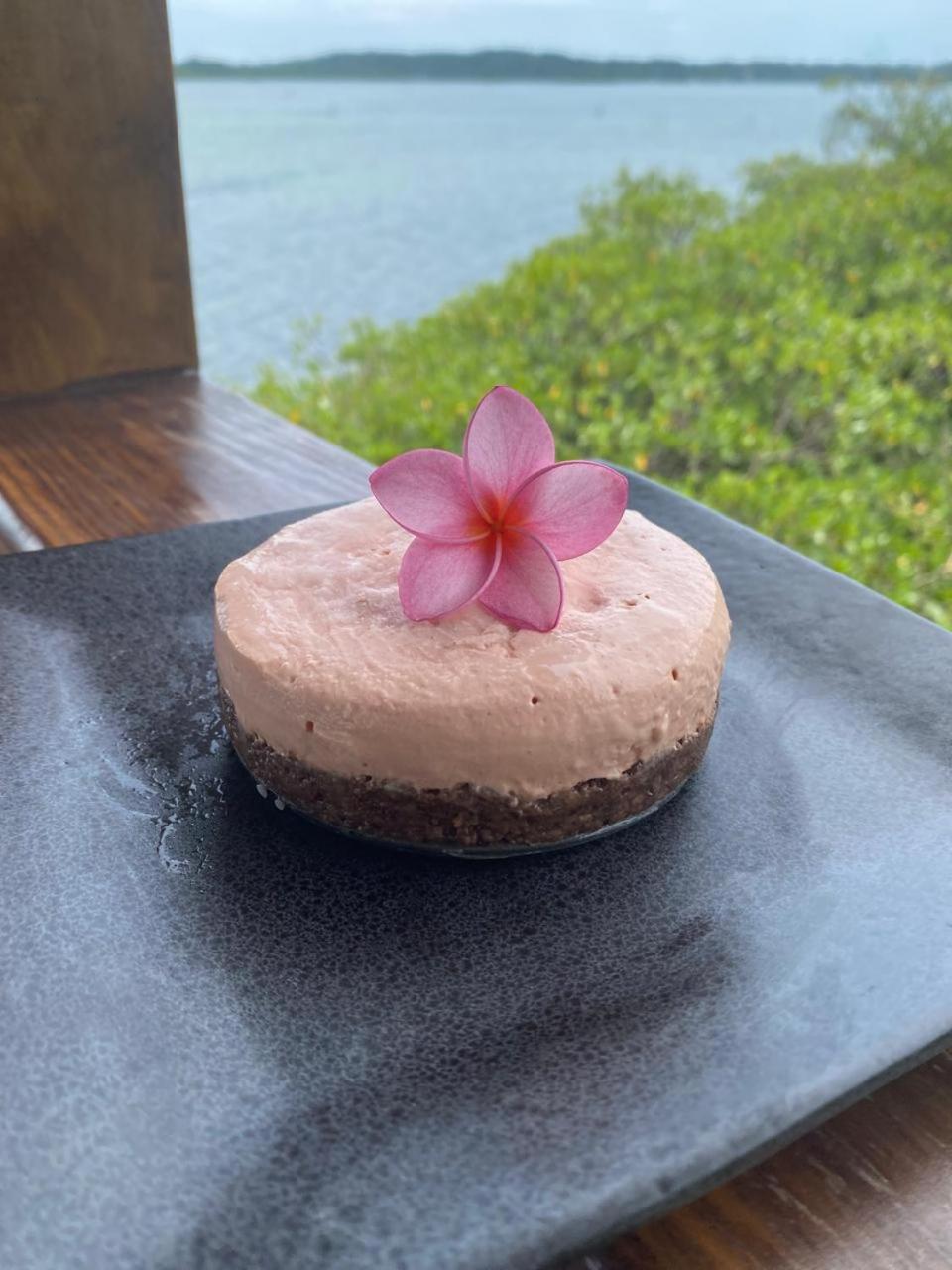Roam Yoga & Wellness Lodge 보카스 타운 외부 사진